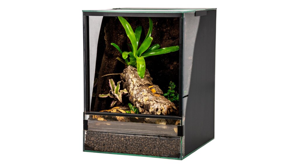 terrarium tropikalne 30x30x40cm