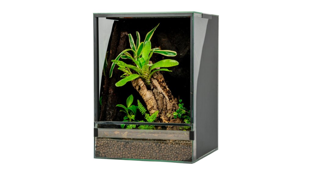 terrarium tropikalne 35x35x50cm