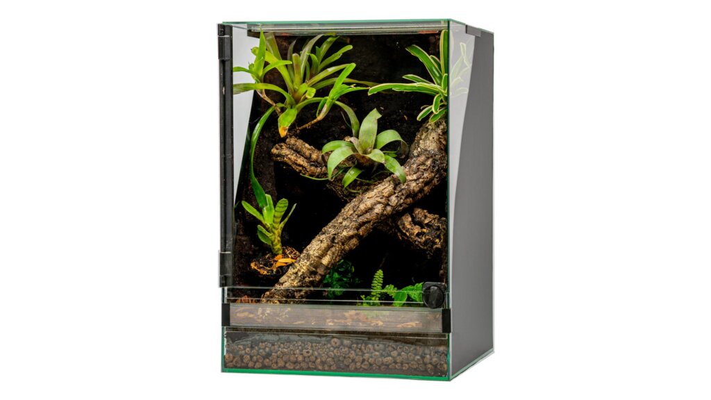 terrarium tropikalne 40x40x60cm zawias