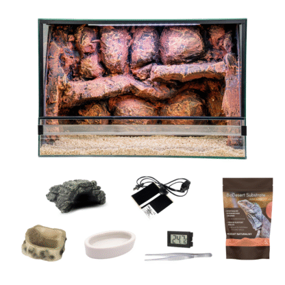 Terrarium dla gekona lamparciego 60x40x40cm