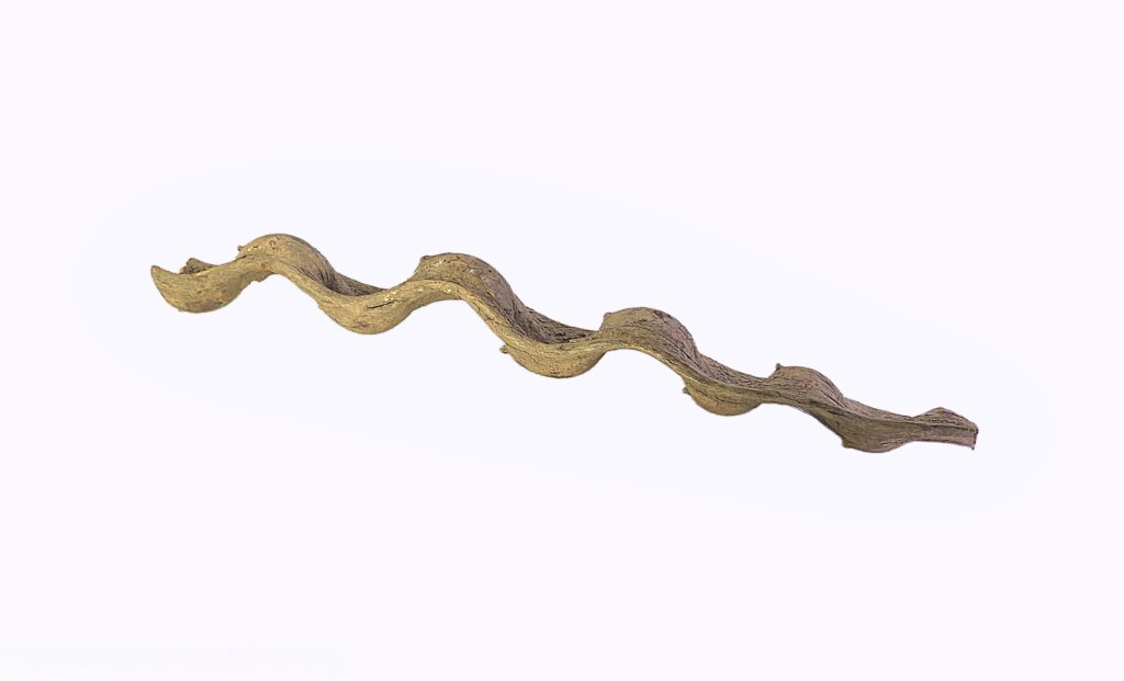 Liana spiralna
