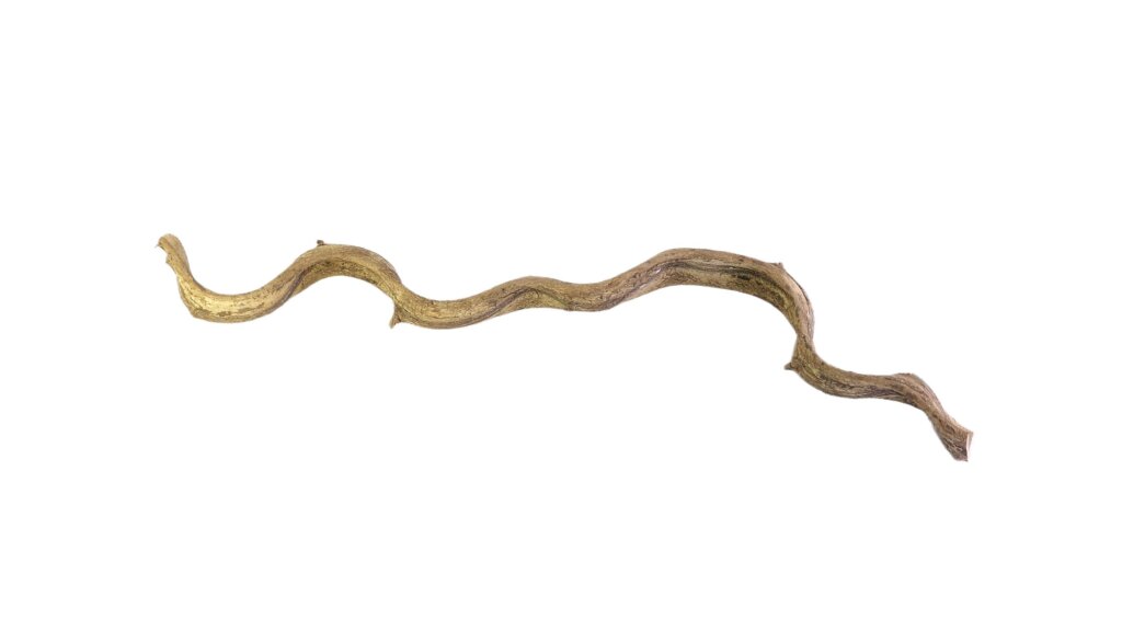 Liana spiralna