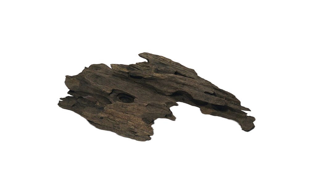 Korzeń Dragon Driftwood
