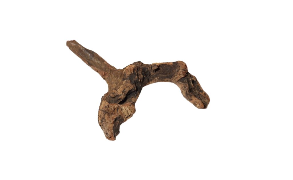 Korzeń Hard Driftwood