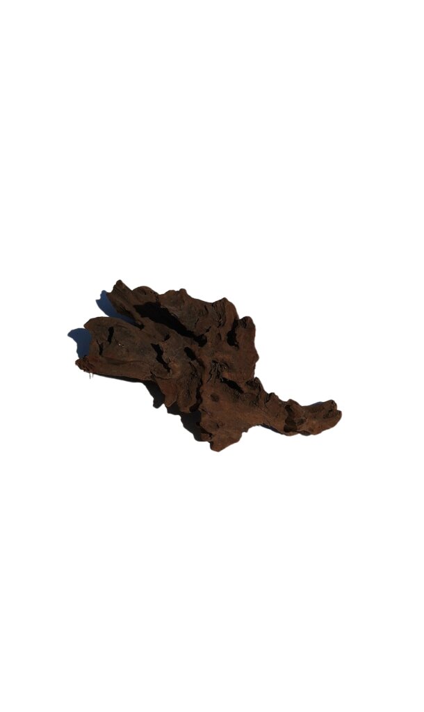 Korzeń Driftwood