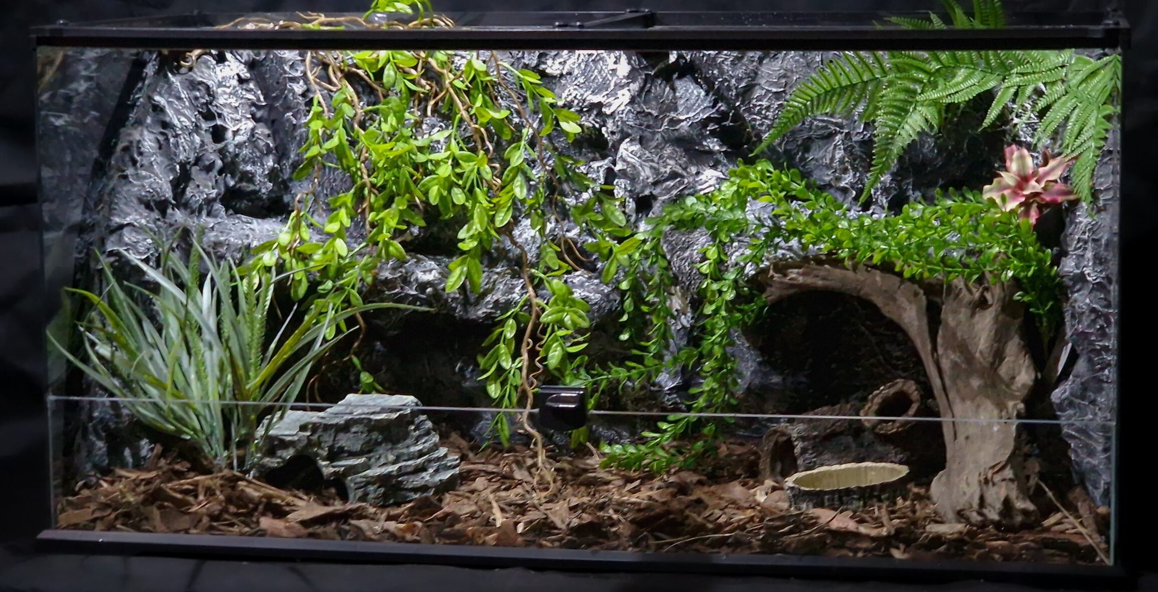 terrarium