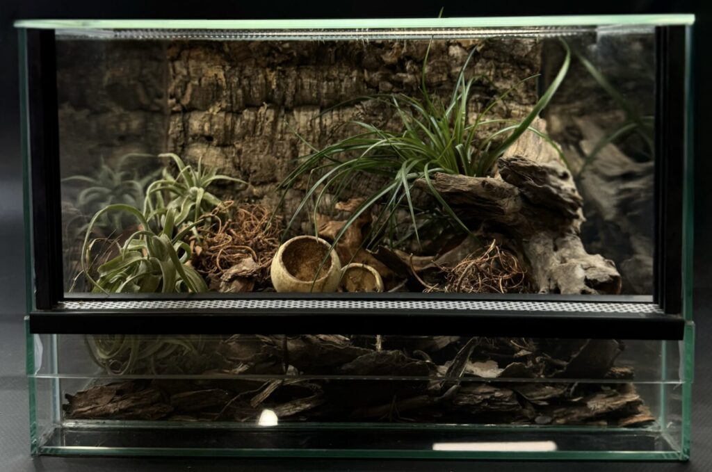 Małe terrarium dla pajęczaków i owadów
