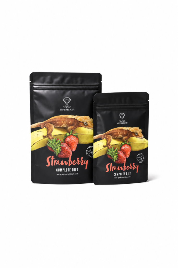 Gecko Nutrition Strawberry