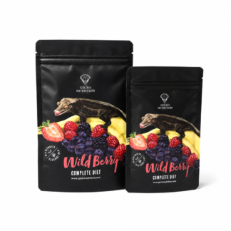 Gecko Nutrition Wildberry